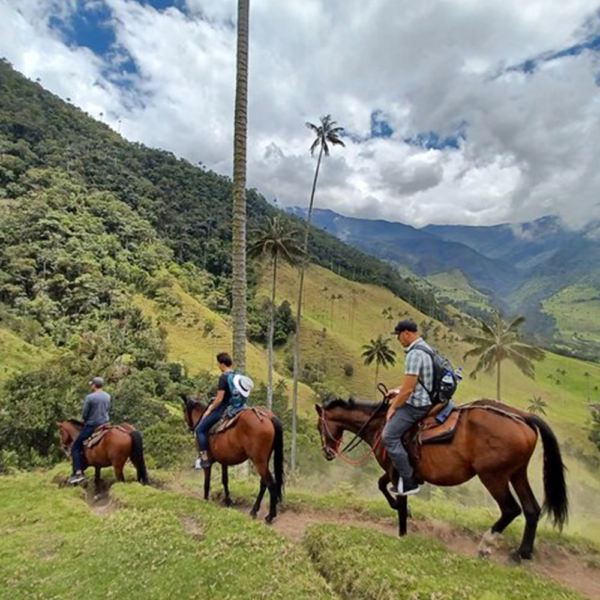 Valle del Cocora a Caballo